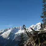 And Kravanja * טרנטה