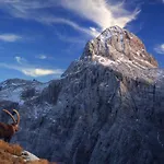 And Kravanja דירה טרנטה