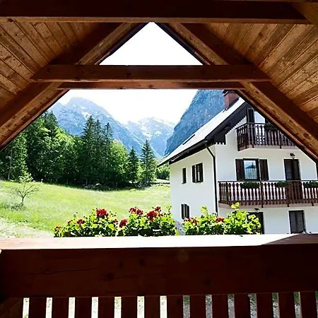 And Kravanja *