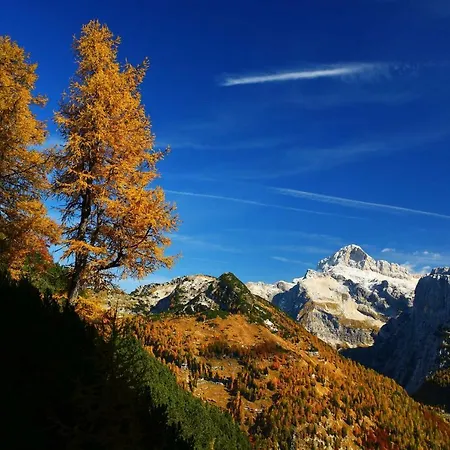 公寓 And Kravanja *