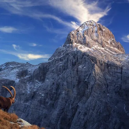 And Kravanja 公寓 特伦塔