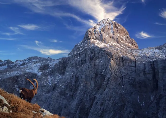 And Kravanja Apartmán Trenta